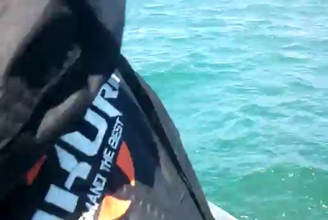 PECHE AU BAR PAR LE GOELAND 50  JO AVEC ROCKSWEEPER ABU GARCIA