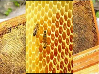 YILDIZ DEMİRKOL SAVAŞ-yıldızlıtürküler-GÜL MENEKŞE SENDEN ALMIŞ KOKUYU