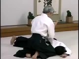 Doshu Moriteru Ueshiba - Principles of Aikido