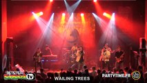 WAILING TREES @ Reggae Contest Europe 2014