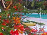 Hoteles San Pedro Sula es un Portal Web en donde encuentras los mejores Lugares Turisticos de Honduras