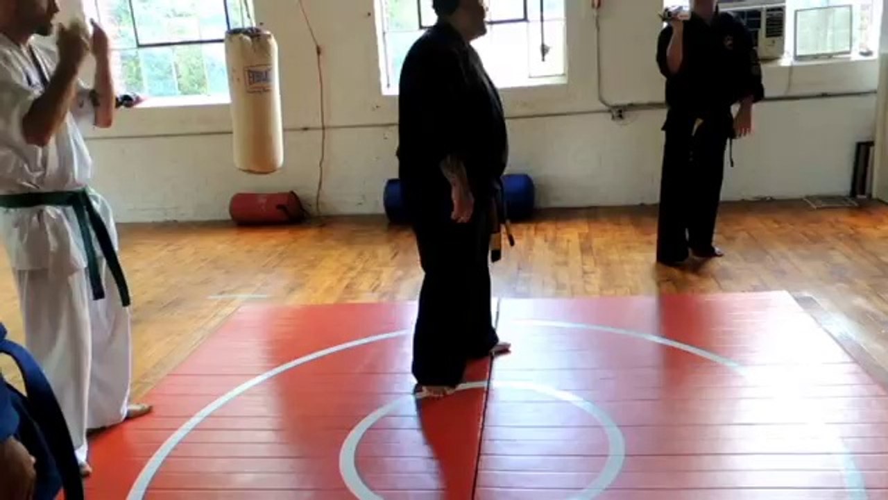 Shishikan_Seminar_Coventry_Karate_Club_R.I._7_12_14