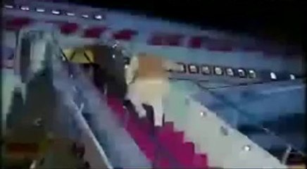 PM Modi leaves for home after attending BRICS summit in Brazil
