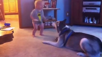 Funny Videos - Fail Compilation, Funny Pranks and Funny Cats Videos _ New Funny Video(20)