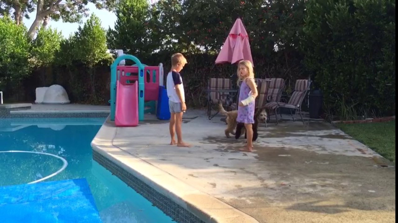 Training Dogs and Kids at Falco K9 Academy