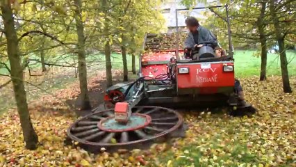 New Amazing Technology Apple Harvest Molagnies (machine)