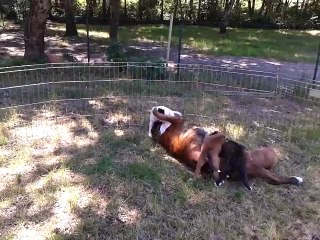 moment de jeu avec maman 5 semaines