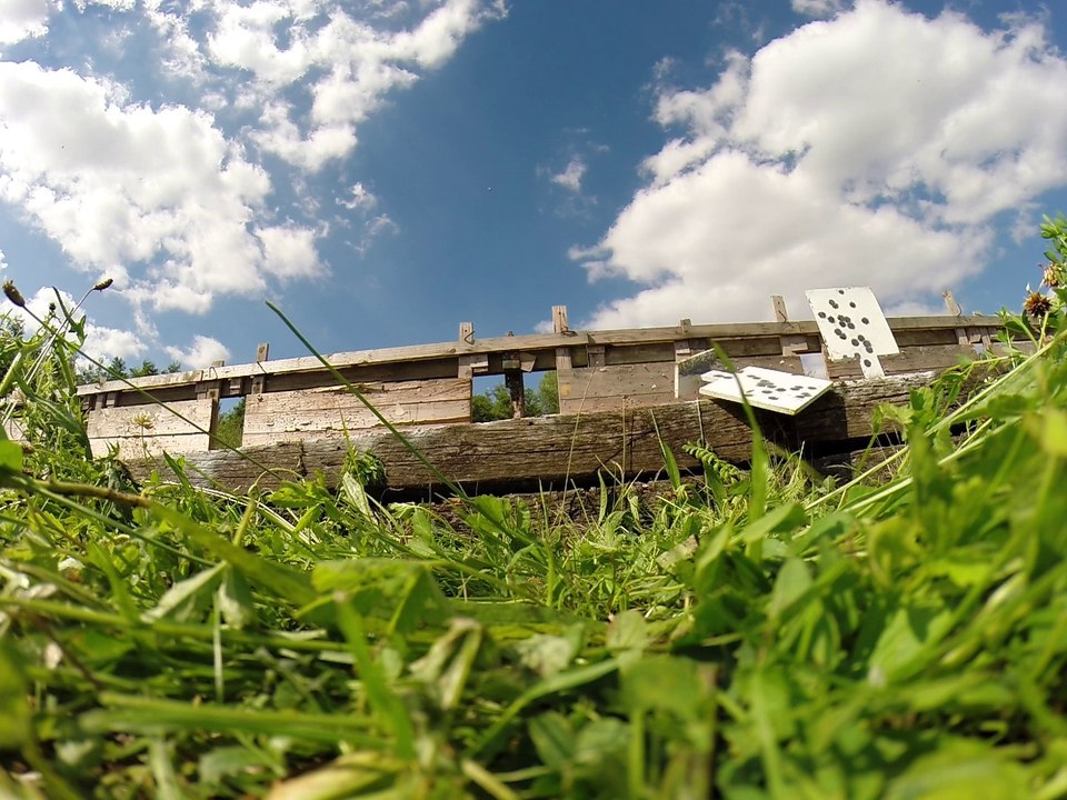 Tir GONG 25m condition TAR avec G17