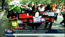 México: grupos ambientalistas logran detener siembra de transgénicos