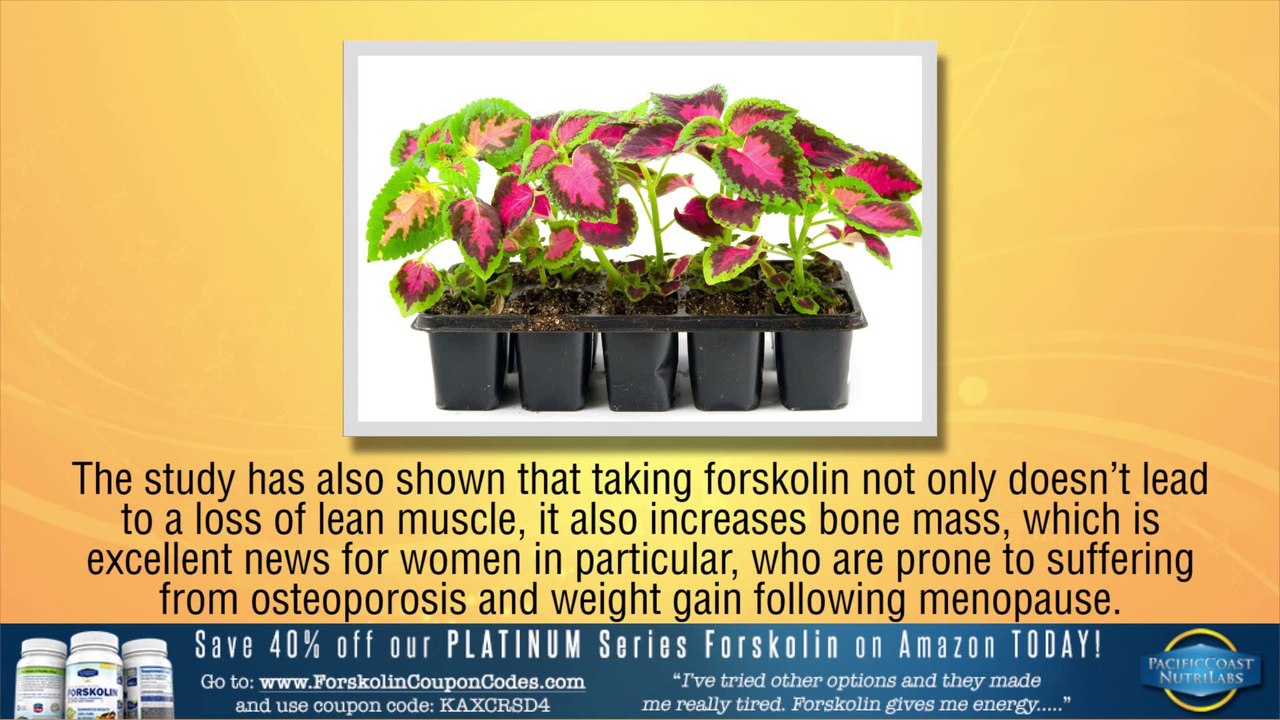 Forskolin: The Clinical Trial Results That Caused A Nationwide Uproar