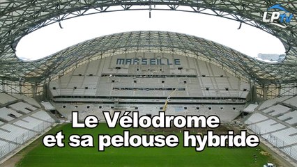 Botella et la pelouse hybride du Vél'