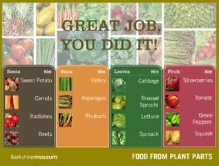 Plants Arrangement Game