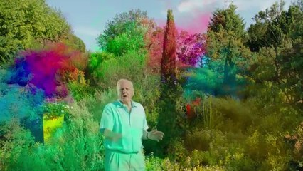 Plants - Solving the Secrets