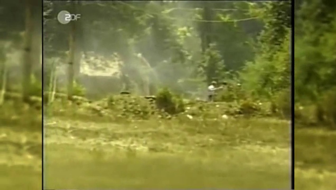 ZDF Live-Nachrichten vom 11.09.2001 (23:17 - 23:54 Uhr)