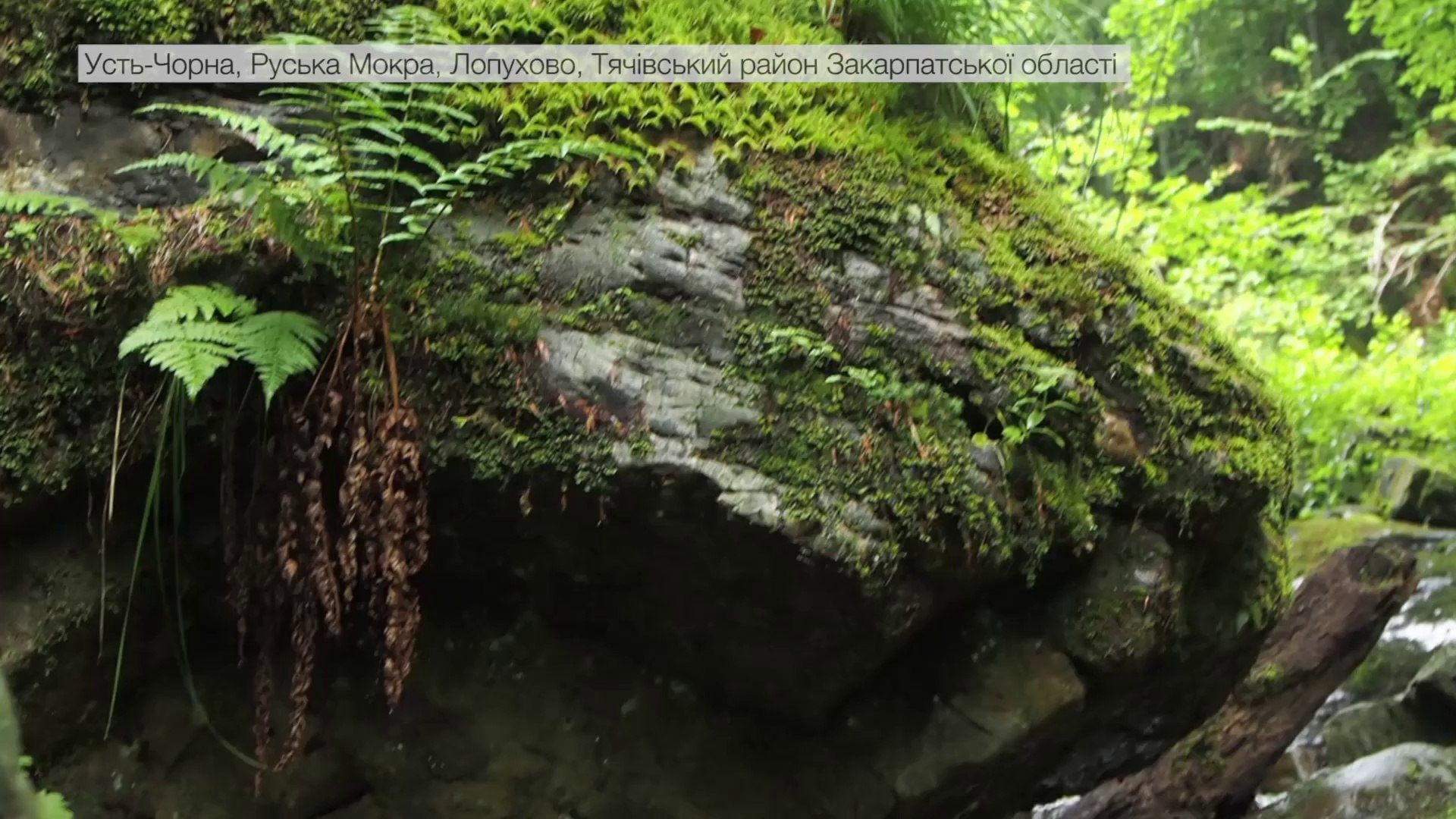 Знайдено в Україні - Західна Україна