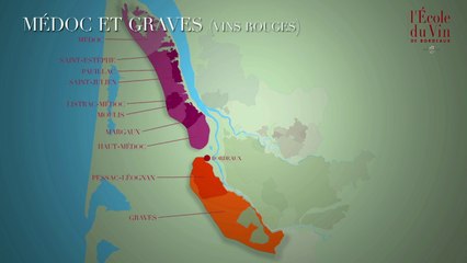 Le vignoble bordelais