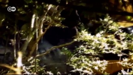 Rumanía: ríos secos | Europa semanal