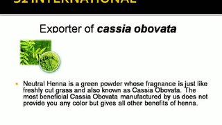 S2international : Cassia Obovata Powder Suppliers