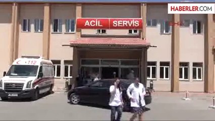 Arı Saldırısına Uğradı, Başından 133 İğne Çıkarıldı