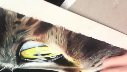 Time lapse Cat drawing