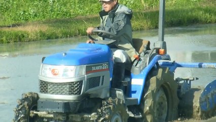 Mud Adventures in Japan 🌿