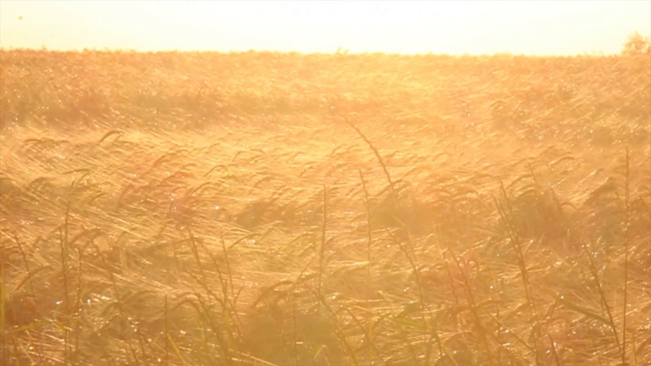 Longboard - first try