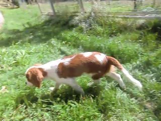 Juliane a peur des vaches