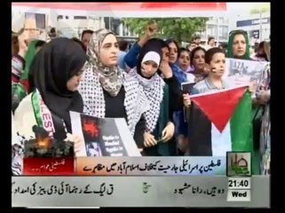 Solidarity With Palestine In Islamabad - Wafa Abbas Armani