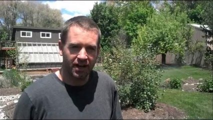 Sprinkler Repair (702) 706-5279 - Customer Review - Boulder City, Nevada