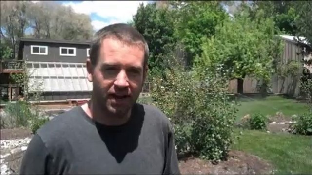 Sprinkler Repair (702) 706-5279 - Customer Review - Sunrise Manor, Nevada