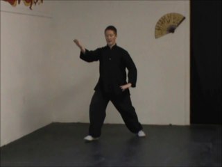 (4/11) Yang Tai Chi Stepping Sets/ Line Drills: Diagonal Flying