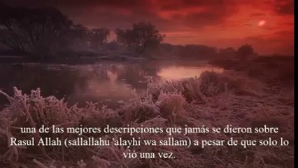 Descripcion del Profeta(sws)