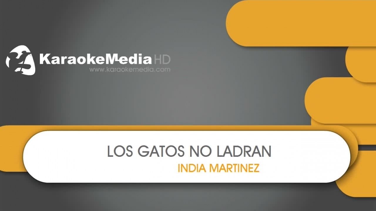 Los Gatos No Ladran - India Martinez - KARAOKE HQ - video Dailymotion