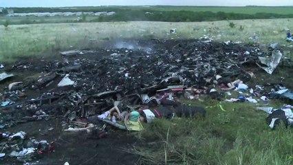 Así quedó el avión malasio que se estrelló en Ucrania