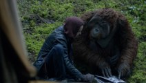 La Planète des Singes : L'Affrontement - Extrait 