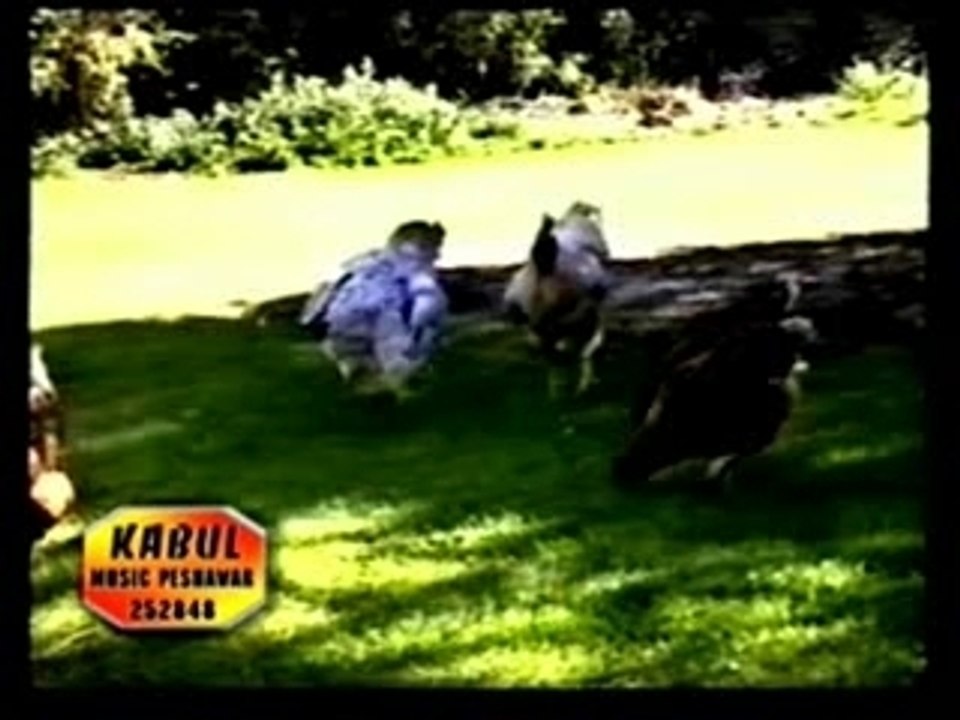 Raqs Morgh ba saz Qataghani