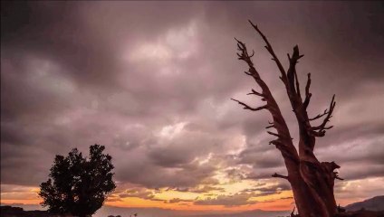 Walking in dream's..."Spirit of Love" Patrick Stafford & Ste-Mary's Band. Full Nature HD Clip