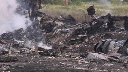Malaysian airliner crashes in Ukraine