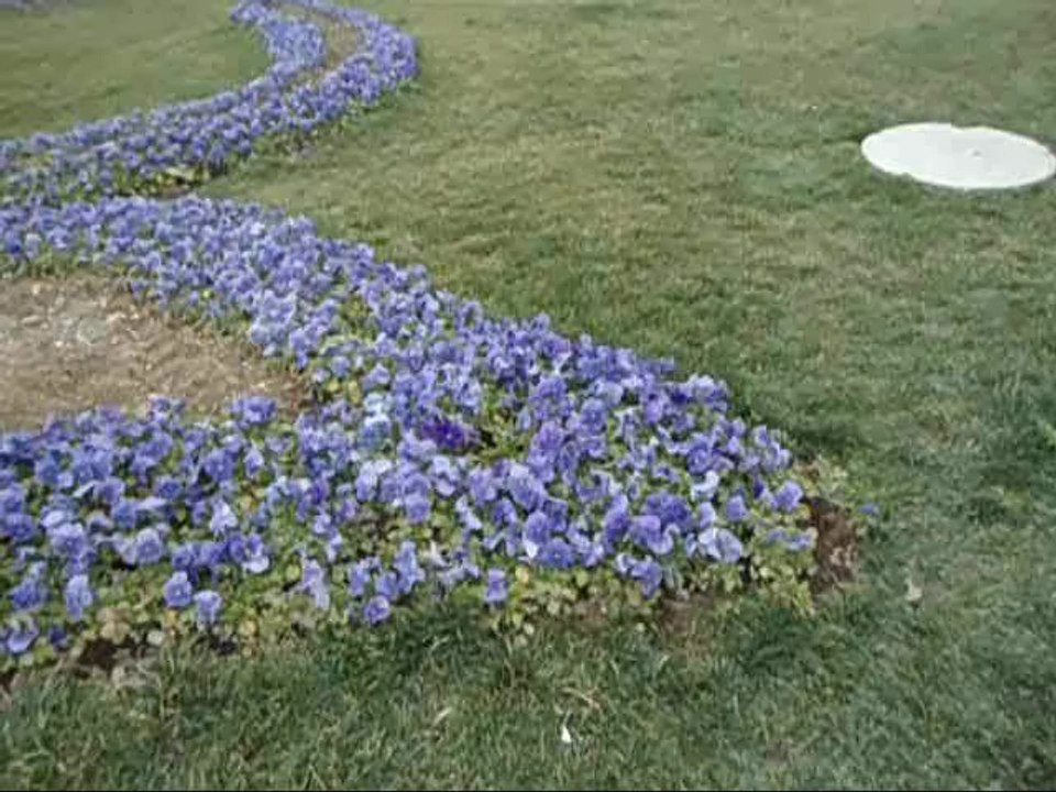 Ak Parti Seçim Şarkısı - Recep Tayyip Erdoğan -  Uğur Işılak