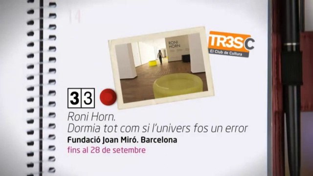 TV3 - 33 recomana - Roni Horn. Dormia tot com si l'univers fos un error. Fundació Joan Miró. Barc