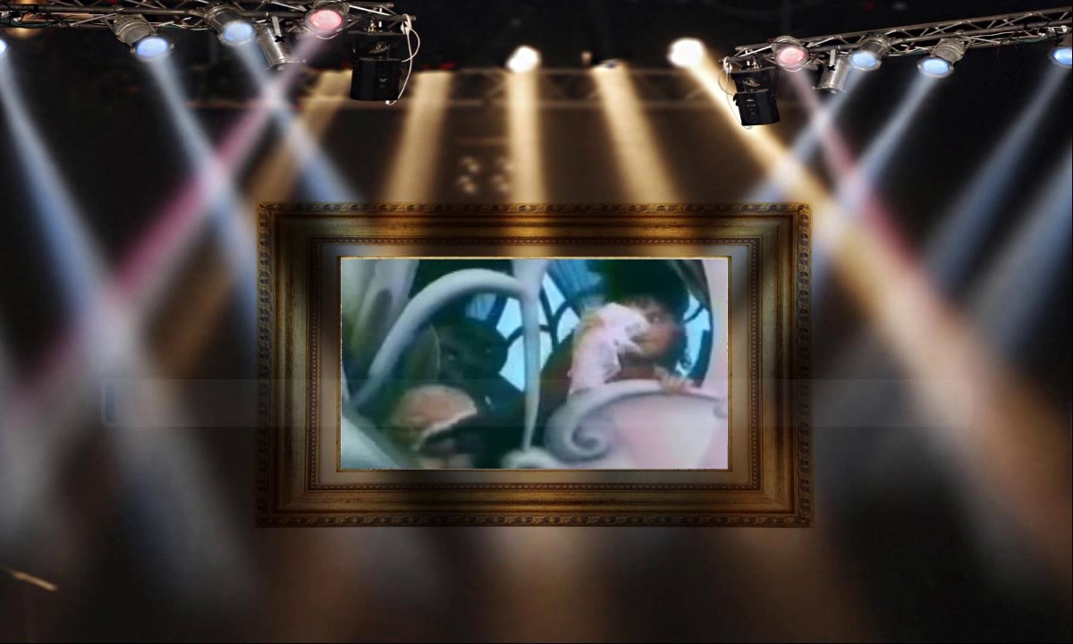 Arnold Turboust & Zabou - Adelaïde (Karaoke)