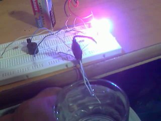 Water Level Indicator on Breadboard