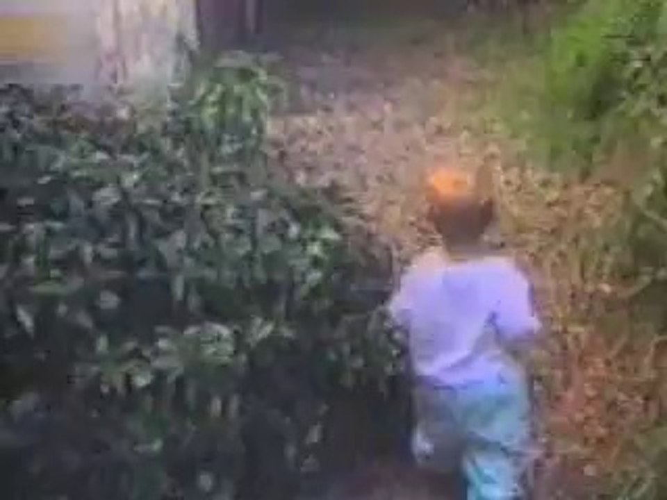 cat attack on Baby Funny