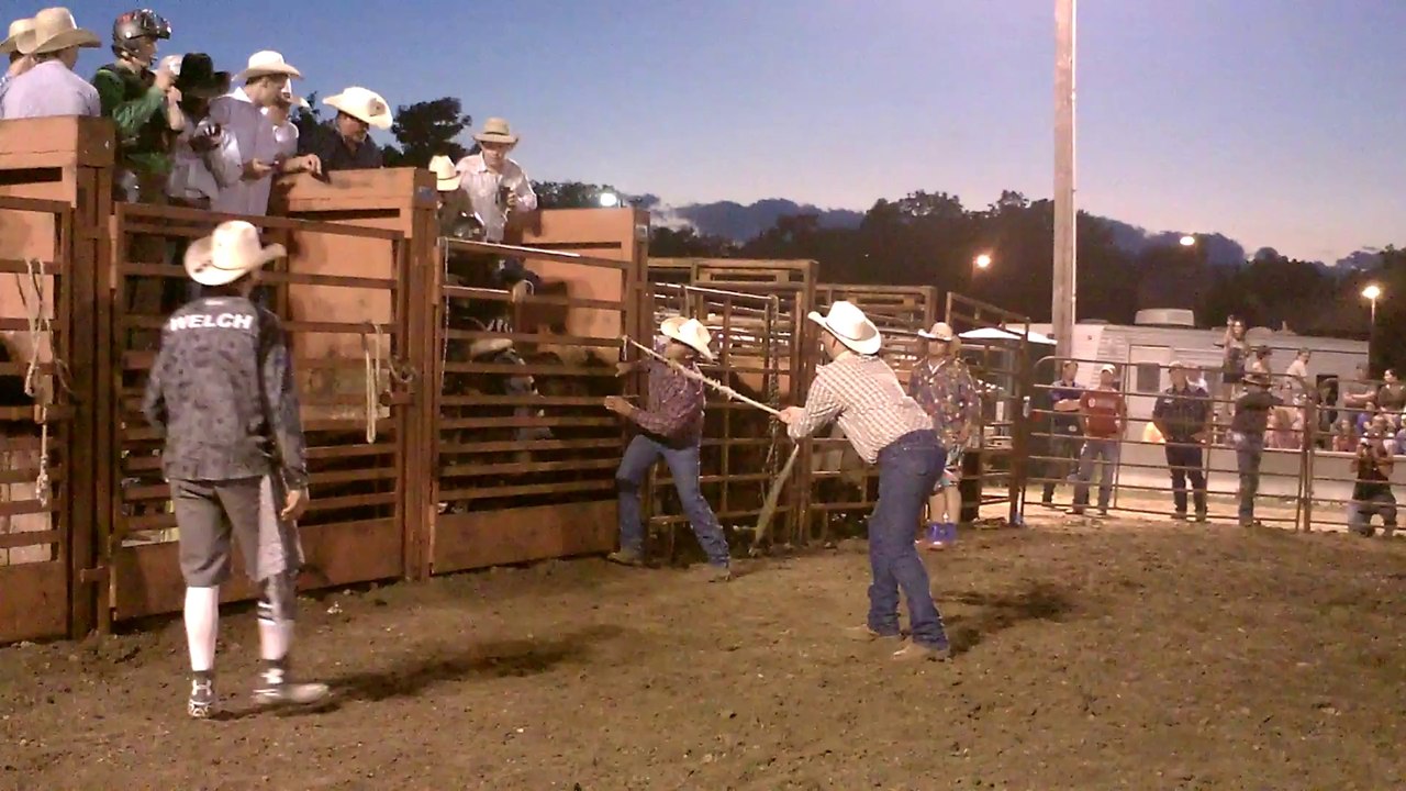 man hurt by bull at missouri fair