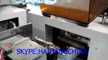 two line disposable plastic cup counting packing machine