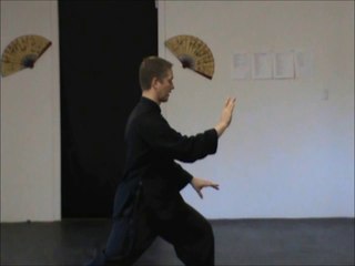 (5/11) Yang Tai Chi Stepping Sets/ Line Drills: Brush Knee and Push