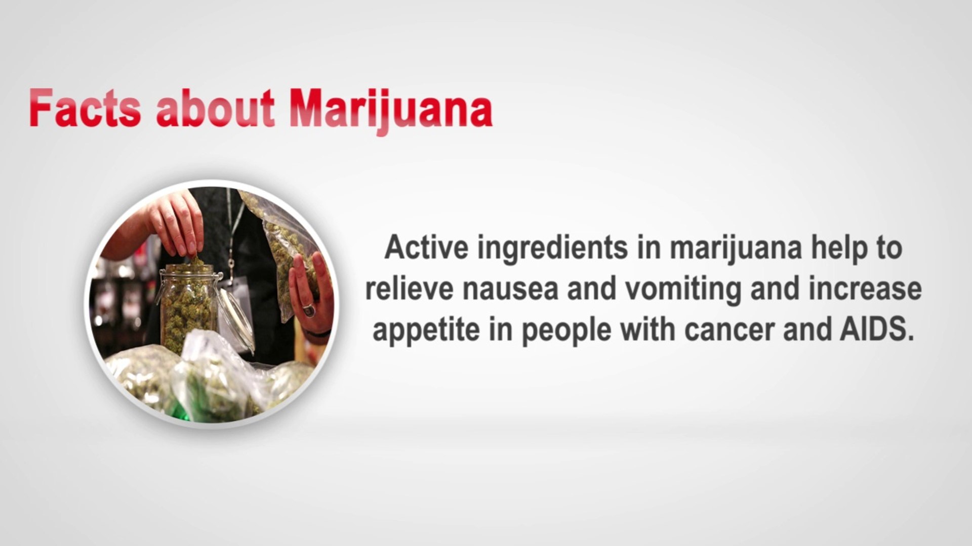 ⁣Facts about Marijuana