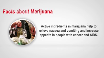 Facts about Marijuana