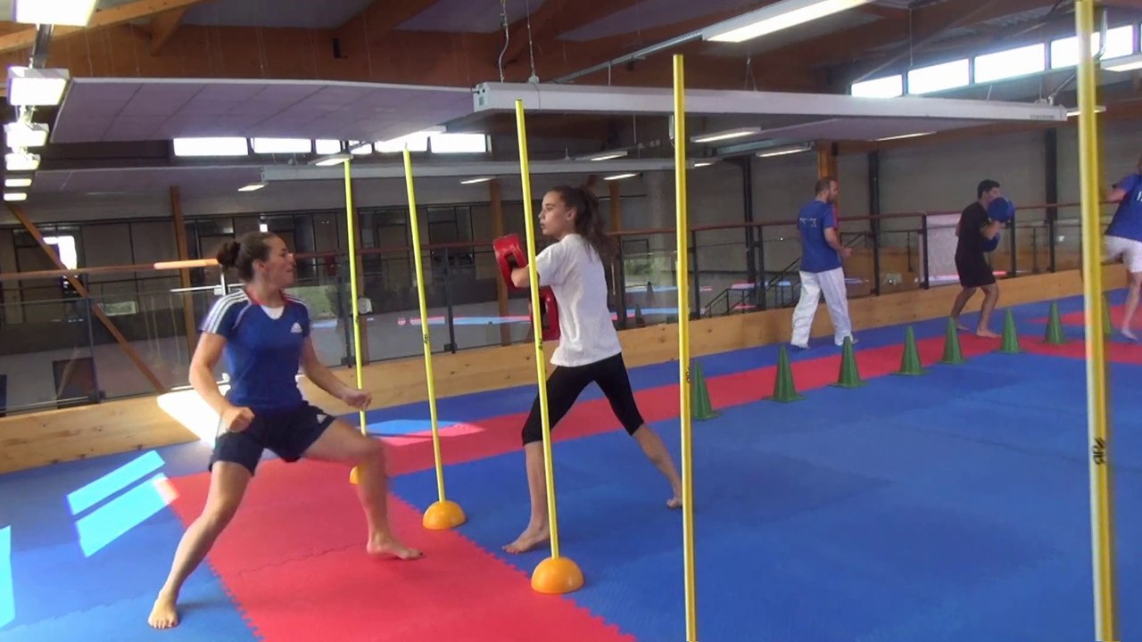 Stage Collectif Formation - Equipe de France Combat - Juillet 2014