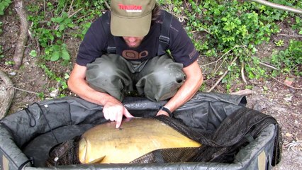 Début de saison en Seine. LT Baits. Taska.